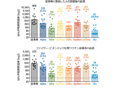 画像: 画像はリリースより
