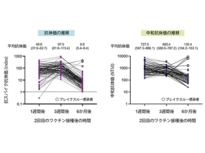 画像: 画像はリリースより