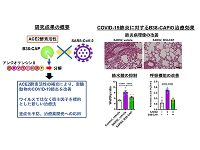 画像: 画像はリリースより