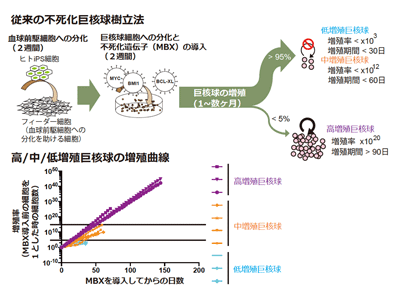 画像: 画像はリリースより