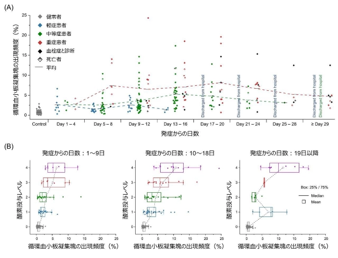 画像: 画像はリリースより