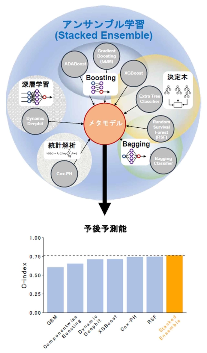 画像: 画像はリリースより