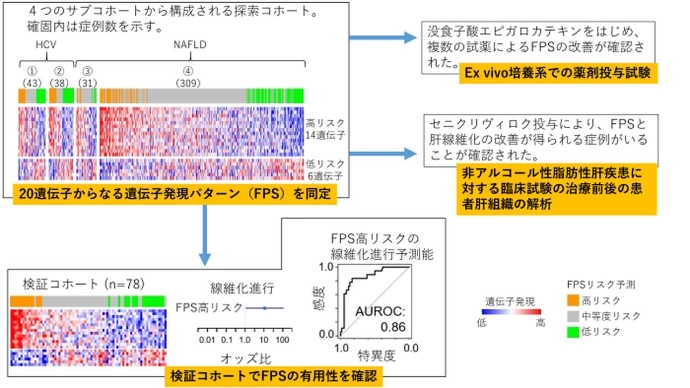 画像: 画像はリリースより
