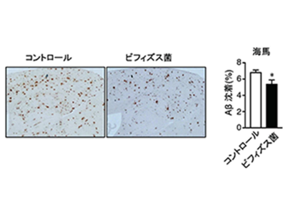 画像: 画像はリリースより