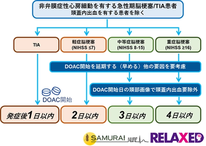 画像: 画像はリリースより