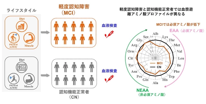 画像: 画像はリリースより