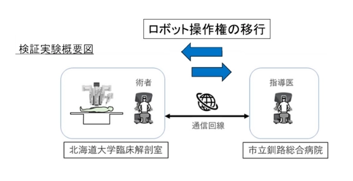 画像: 遠隔手術の社会実装を前進するためのカダバースタディー