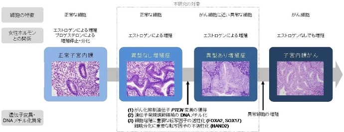 画像: 画像はリリースより