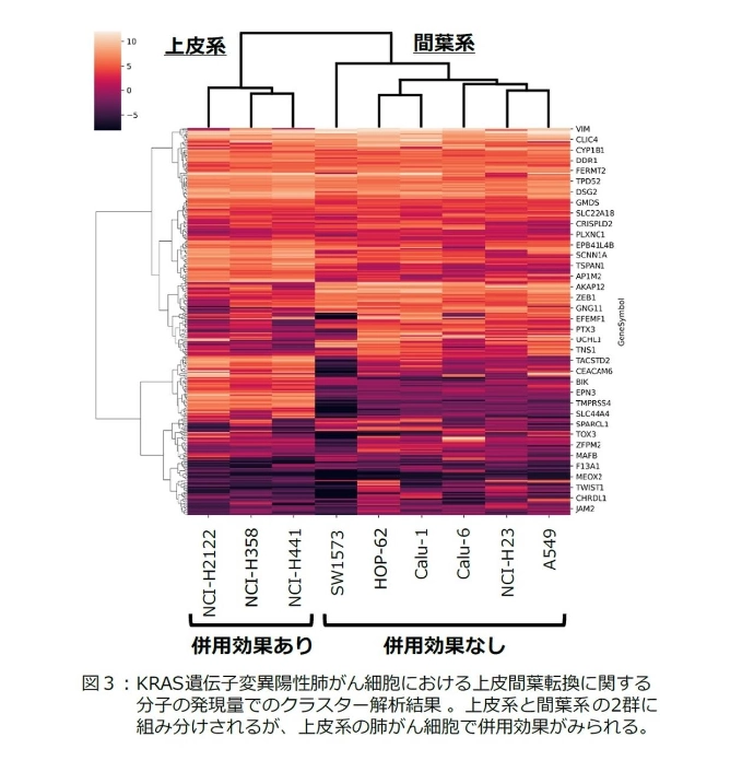 画像: 画像はリリースより