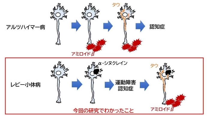 画像: 画像はリリースより