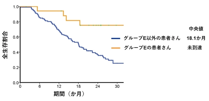 画像: 画像はリリースより