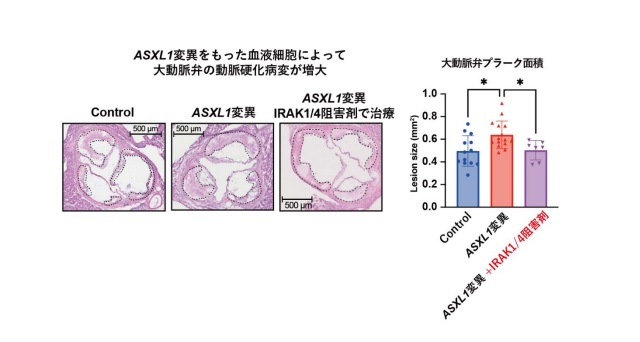 画像: 画像はリリースより